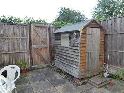 Picture 22